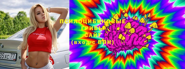 соль ск Абаза